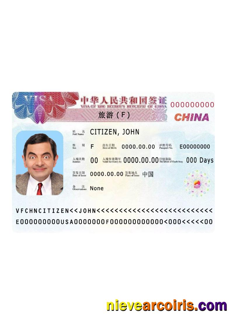 China visa 2019 present version 2
